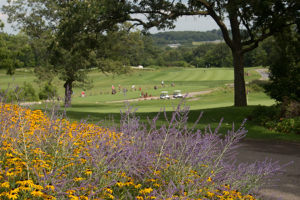 image of golf course