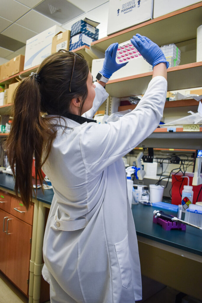 Rachel Minne - Meet the Expert series